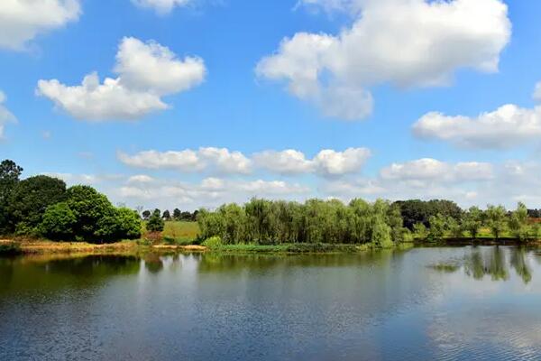 徐州:“專題監(jiān)督”凝眸“青綠”共識共治共護碧水藍天 徐州:“專題監(jiān)督”凝眸“青綠”共識共治共護碧水藍天